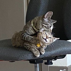 Meet your Posher, Nhi